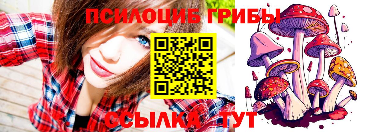 Камышин  Псилоцибиновые грибы Magic Shrooms  Вход с VPN 